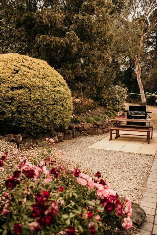 Otago Cottage Hobart Luaran gambar