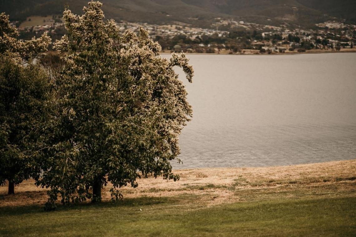 Otago Cottage Hobart Luaran gambar